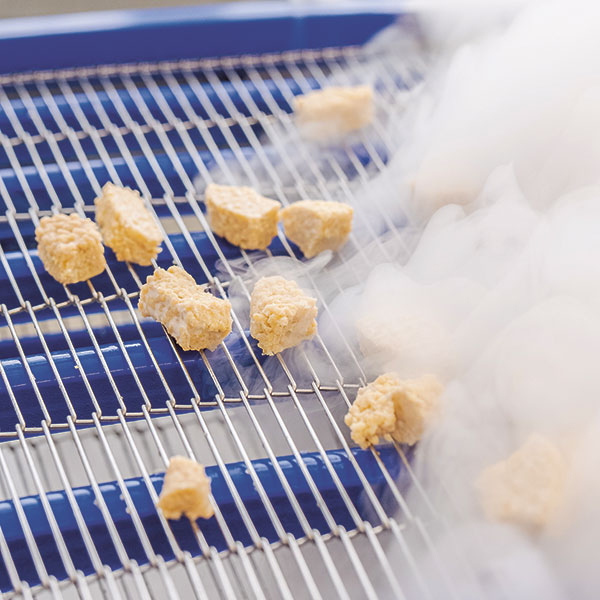 Vegetarische Nuggets aus Okara.