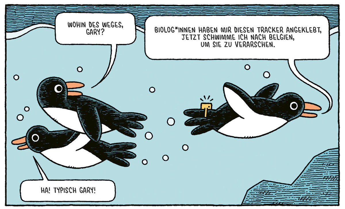 Comic mit Pinguinen von Tom Gauld